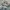 Nike Indie Casual Sneakers Pria white gray photo 1