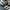 Adidas Indie Casual Sneakers Pria white black photo 2
