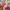 Adidas Indie Casual Sneakers Wanita red pink photo 6