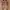 Nike Streetwear Sportswear Sneakers Pria multicolor photo 3