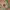 Nike Streetwear Sportswear Sneakers Pria multicolor photo 1