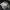 Adidas Casual Sneakers Pria white black photo 6