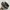 Adidas Casual Sneakers Pria black gray photo 2