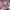 Casual Casual shirt Pria pink photo 5