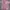 Casual Casual shirt Pria pink photo 4