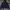 Nike Streetwear Sportswear Windbreaker Pria black photo 1