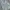 GAP Skater Casual Casual shirt Pria green photo 1
