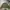 Alpha Industries Vintage Streetwear Parka Pria green photo 1