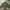 Alpha Industries Vintage Streetwear Parka Pria green photo 8