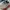 Nike Sportswear Sneakers Pria silver photo 3