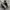 Gorpcore Parka Pria white photo 7