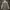Gorpcore Parka Pria white photo 2