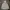Gorpcore Parka Pria white photo 1