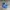 Nike Streetwear Sportswear Sneakers Pria blue photo 1