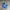 Nike Streetwear Sportswear Sneakers Pria Blue