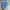Nike Streetwear Sportswear Sneakers Pria blue photo 4