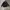 Vintage Casual Parka Pria black photo 1