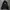 Gorpcore Parka Pria black photo 2