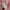 Thom Browne Fairy Fleece Wanita pink photo 5
