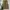 Indie Casual Capes & poncho Pria tan cream photo 1