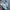 Nike Streetwear Casual Sneakers Pria white blue photo 2
