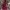 Luxury Prom Dress Wanita Purple