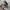 Nike Sportswear Casual Sneakers Pria multicolor photo 2