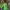 Luxury Prom dress Wanita green photo 1
