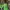 Luxury Prom Dress Wanita Green