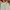 Nike Vintage Streetwear Tracksuit Pria cream photo 4