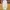 Nike Vintage Streetwear Tracksuit Pria cream photo 1