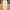 Nike Vintage Streetwear Tracksuit Pria Cream