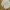 Nike Vintage Streetwear Tracksuit Pria cream photo 5
