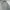 Phenix Sportswear Casual Parka Wanita gray photo 1