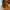 Timberland Streetwear Y2K Boots Pria tan khaki photo 6