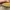 Timberland Streetwear Y2K Boots Pria tan khaki photo 7