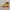 Timberland Streetwear Y2K Boots Pria tan khaki photo 1