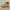 Timberland Streetwear Y2K Boots Pria Tan Khaki