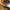 Timberland Streetwear Y2K Boots Pria tan khaki photo 5