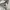 Casual Puffer jacket Pria white photo 4