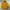 Casual Parka Wanita yellow photo 5