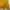 Casual Parka Wanita yellow photo 6