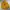 Casual Parka Wanita yellow photo 1