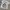 Vintage T-shirt Pria white photo 1