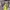 H&M Casual Summer Dress Wanita Yellow