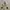 Nike Casual Hoody Pria white photo 2