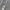 ZARA Casual Bomber jacket Pria gray photo 6