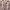 Luxury Cosplay Hair Accessory Wanita Purple Pink