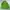 Sportswear Casual Parka Pria green photo 1