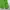 Sportswear Casual Parka Pria green photo 5